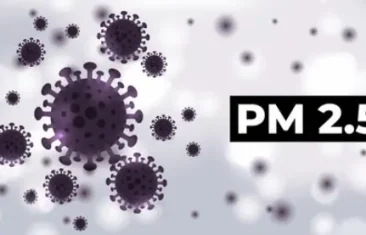 Воздух и частицы PM 2.5: невидимая угроза нашему здоровью